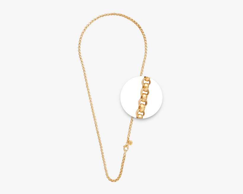 Belcher Chain Gold - Necklace, transparent png download