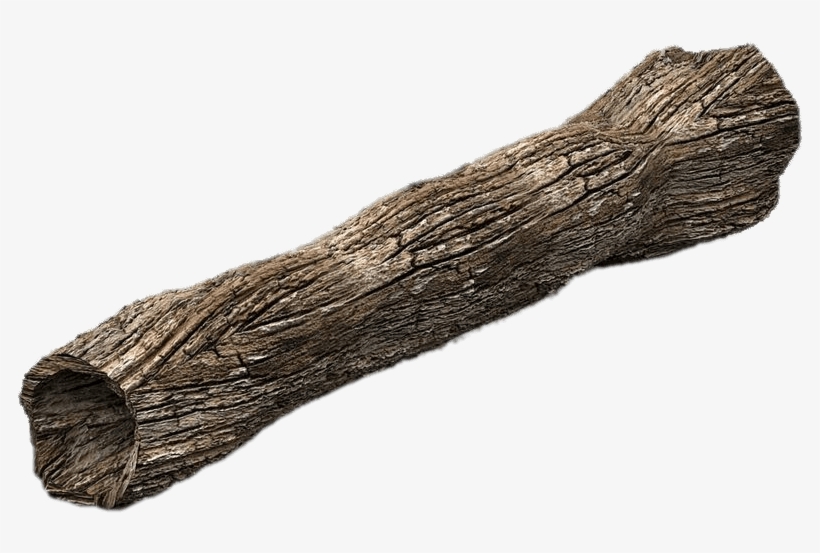 Dead Tree Trunk - Trunk, transparent png download