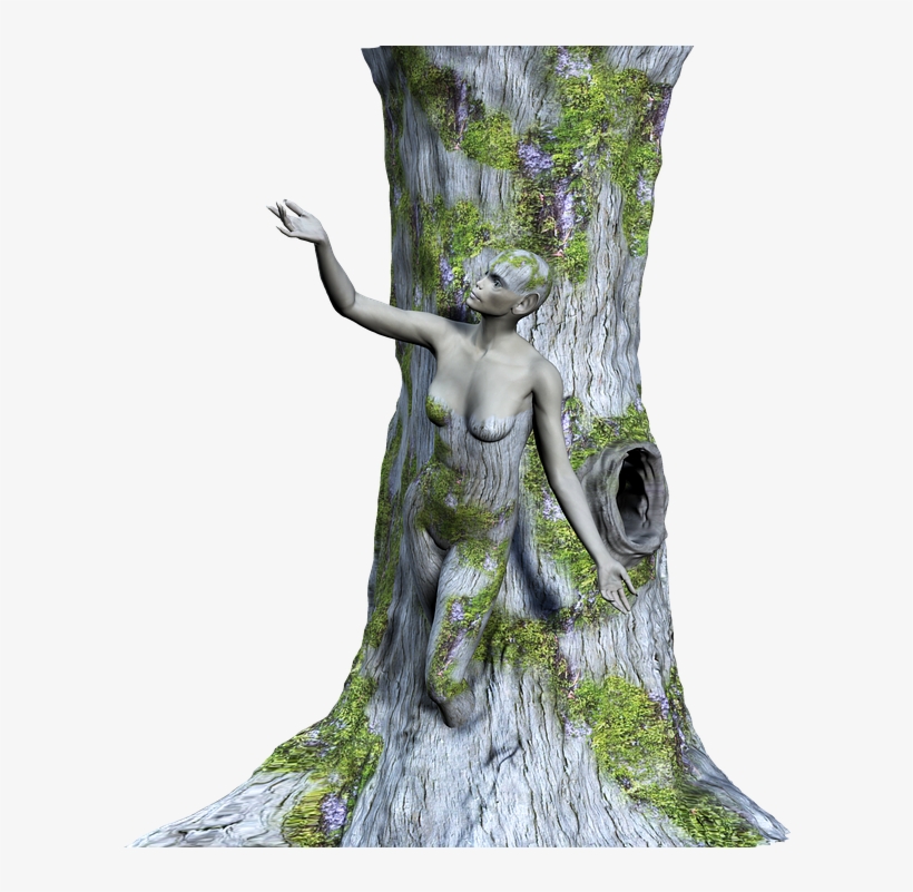 Tree, Wood, Woman, Fantasy, Prisoner, 3d, Png - Statue, transparent png download