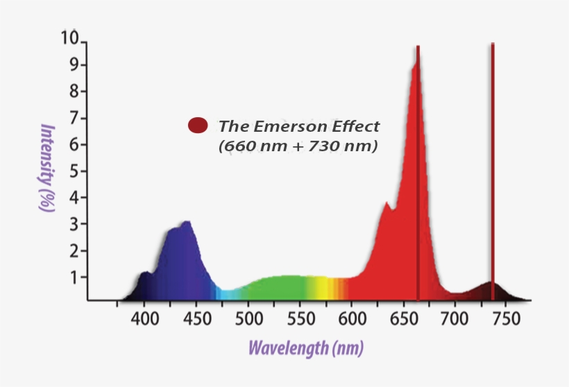 The Sg300 Horticultural Luminaire Features 660 Nm And - Photosynthetically Active Radiation Par, transparent png download