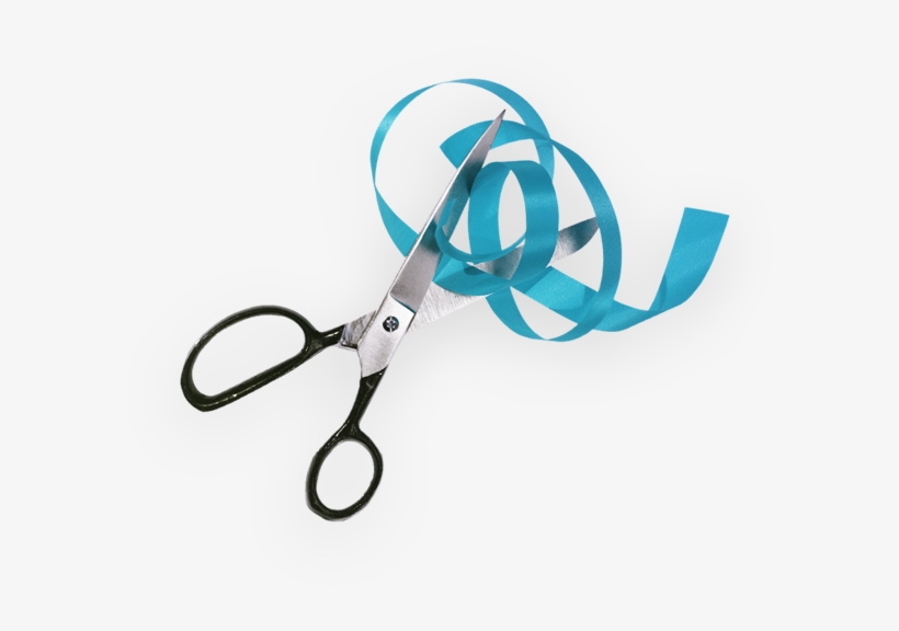 Popularity Or By Date - Bureaucracy And The Policy Process - Relié, transparent png download