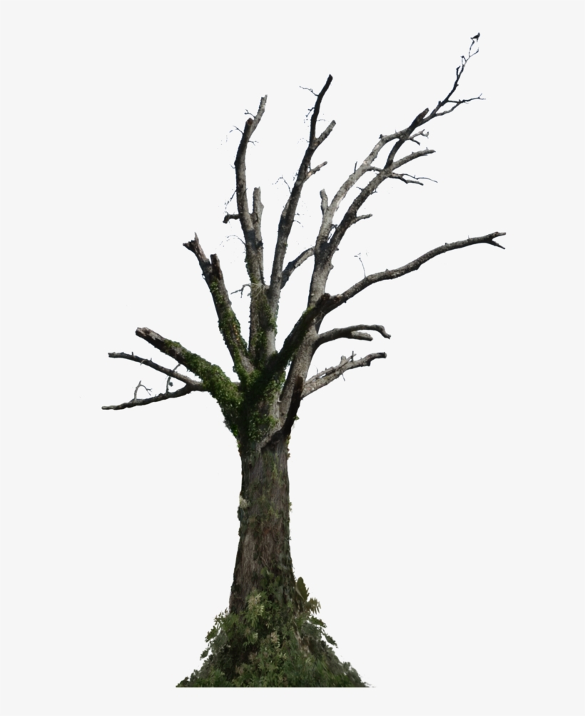 Featured image of post Cartoon Dead Tree Png