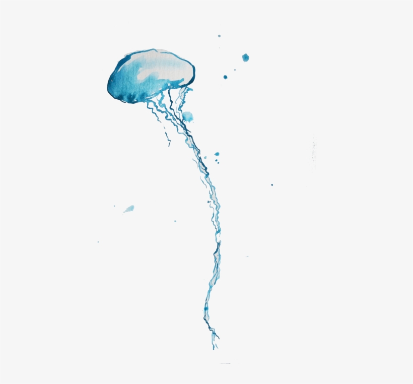 Free Png Blue Bottle Jellyfish Png Images Transparent - Jellyfish Png, transparent png download