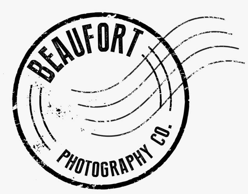 Photography, transparent png download