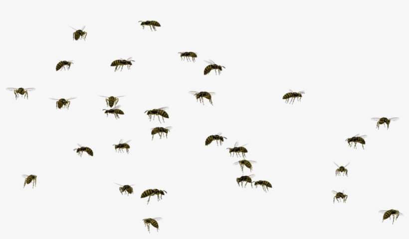 Swarm Of Bees Png Png Royalty Free - Swarm Of Flies Clipart, transparent png download