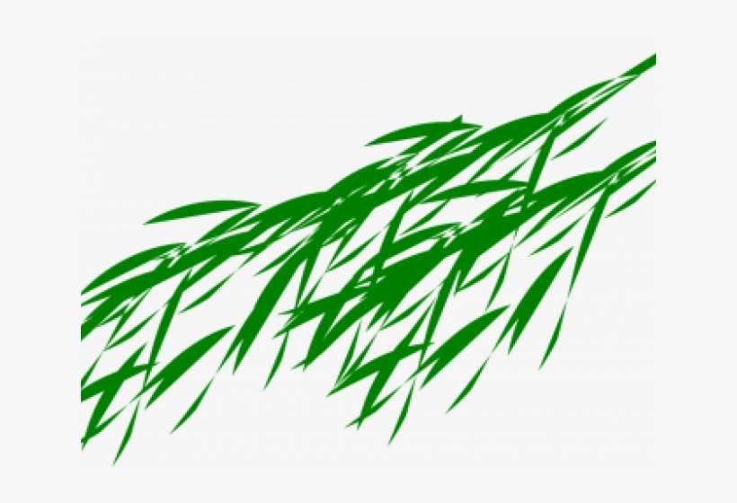 Bamboo Clipart Transparent Background - Panda Bear Eating Bamboo, transparent png download