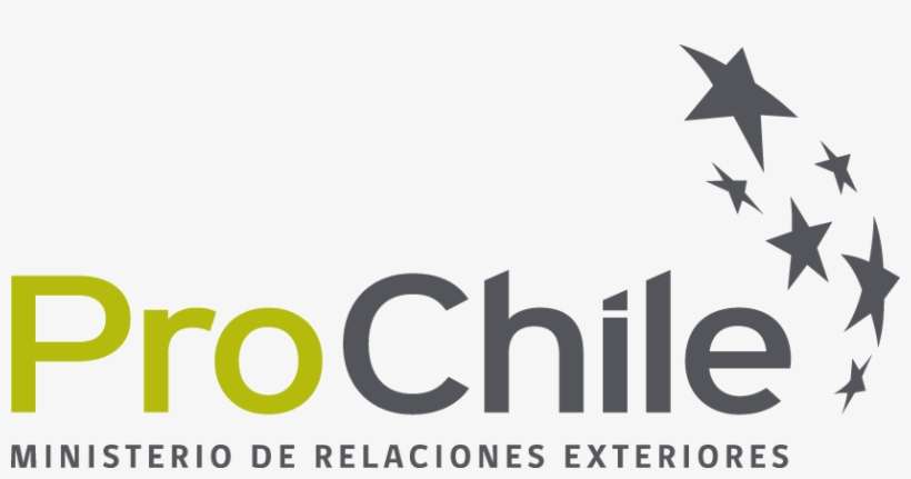 The Team Also Was Invited To Provide Insights To A - Invest Chile, transparent png download