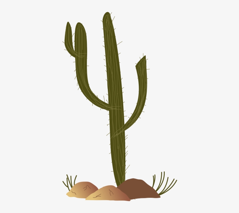 Mlp Fim Cactus By Thecoltalition On Clipart Library - My Little Pony: Friendship Is Magic, transparent png download
