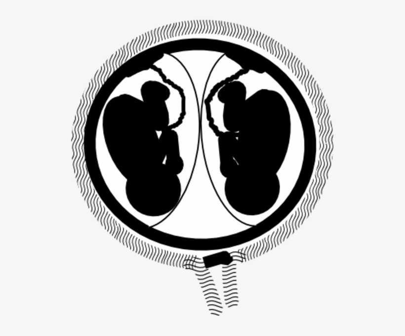 Twins Clipart Silhouette - Twins In Womb Clip Art, transparent png download