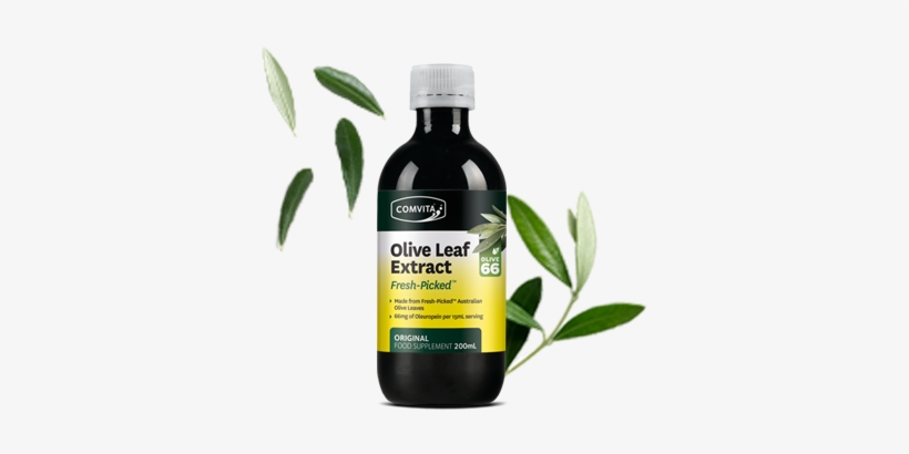 Made From Fresh Olive Leaves - Comvita Olive Leaf Extract 1l, transparent png download