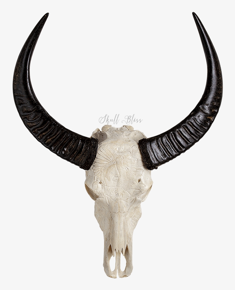 Horn, transparent png download