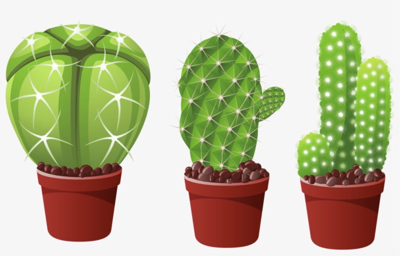 Succulents Vector Side View - Png ตะบองเพชร การ์ตูน, transparent png download