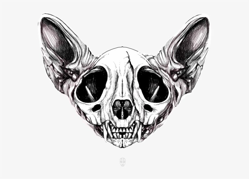 Sphynx Skull Women T Shirt By Fakeface - Skull Pussy, transparent png download