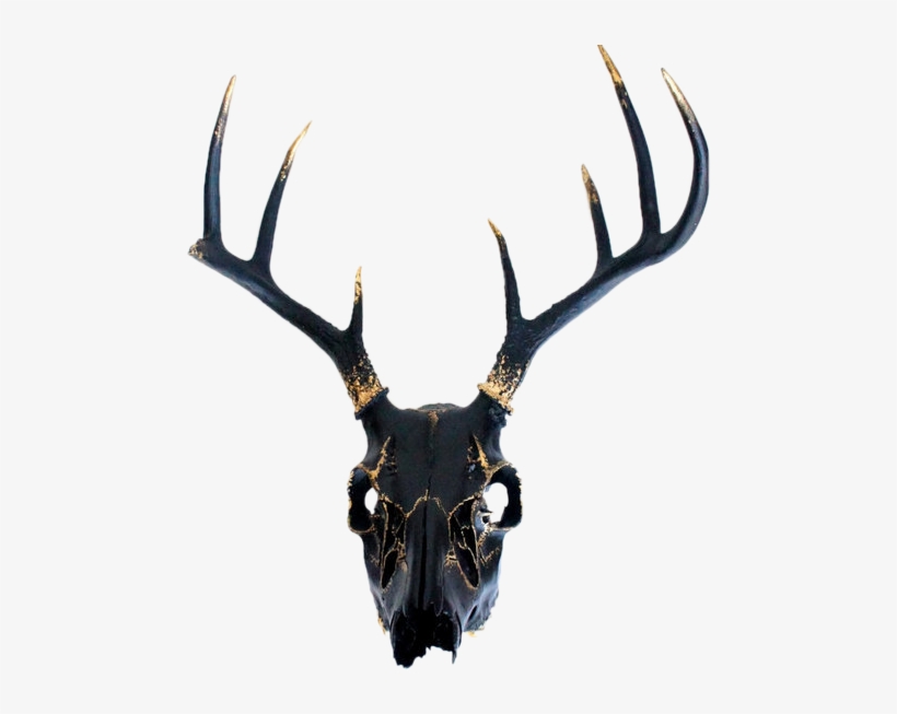 Thanatos Shrine Graphic Black And White Stock - Black And Gold Deer Skull, transparent png download