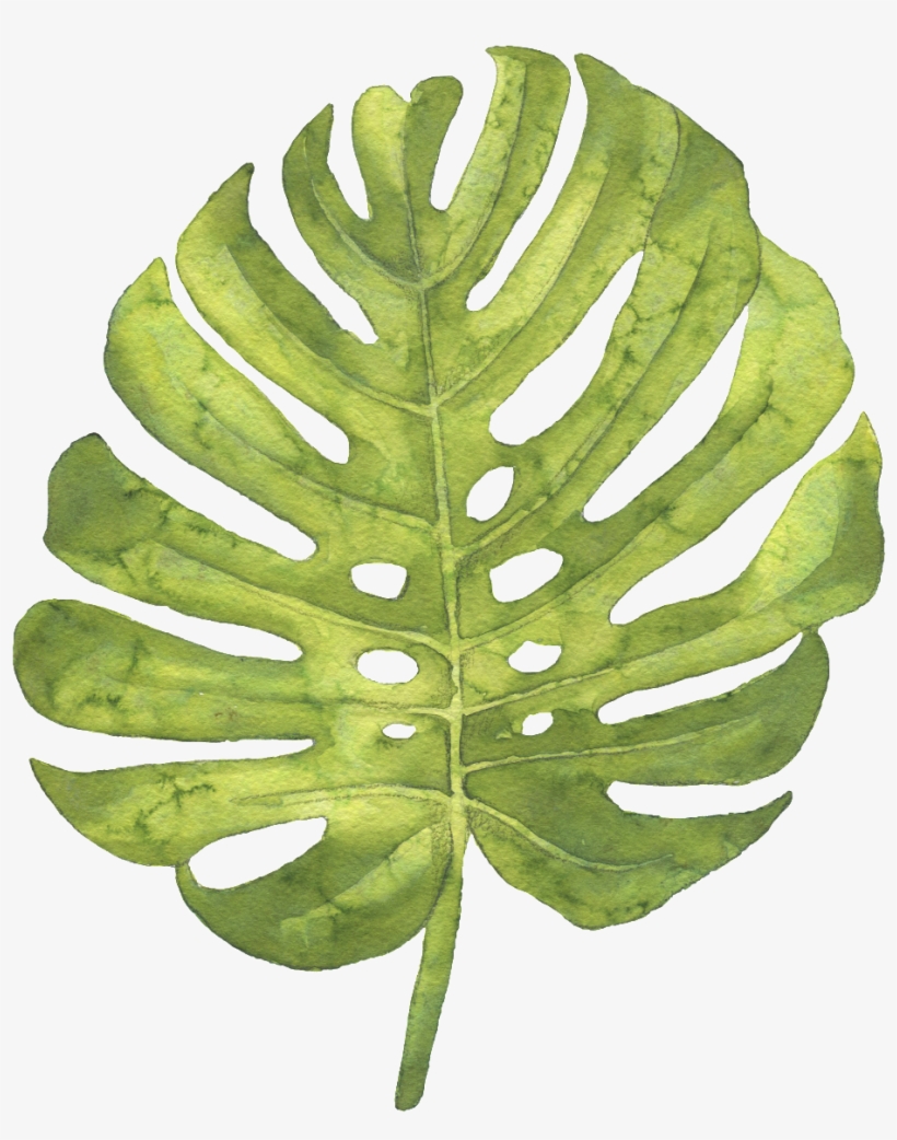 Green Large Leaf Hand Painted Watercolor Transparent - 大片 葉子, transparent png download