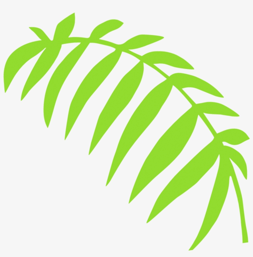 Fern Clipart Fern Frond - Fern, transparent png download