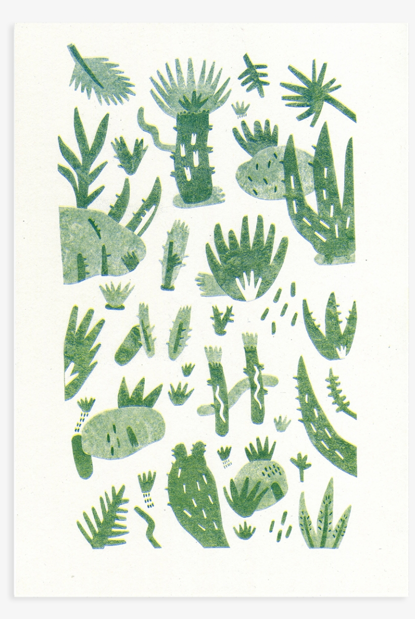Cacti 2 By Rachael Edwards - Cactus, transparent png download