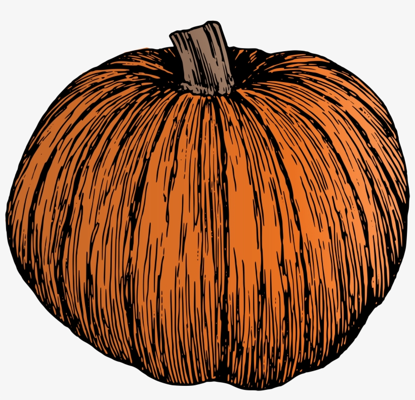Colour Vector Library Library Pumpkin Line Art Throw Blanket PNG