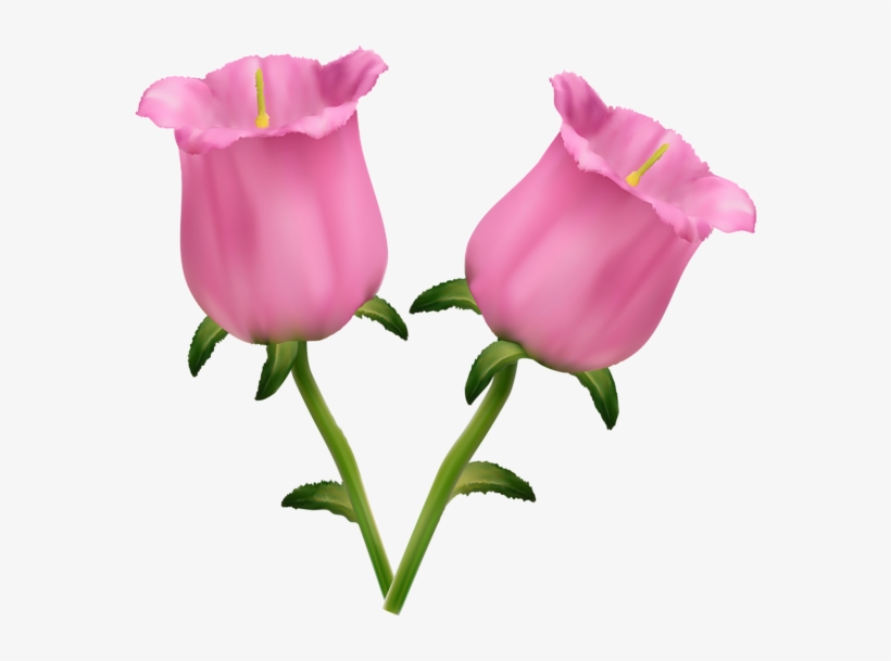 Pink Flowers Bells Png Clipart Image - Flores Coloridas Hermosas, transparent png download