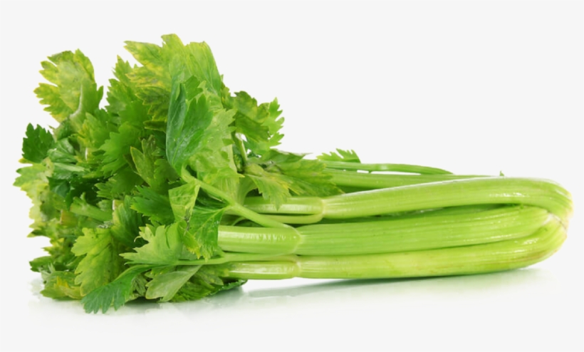 Celery Png File - Celery Seeds 100 Seeds Vegetable Seeds, transparent png download