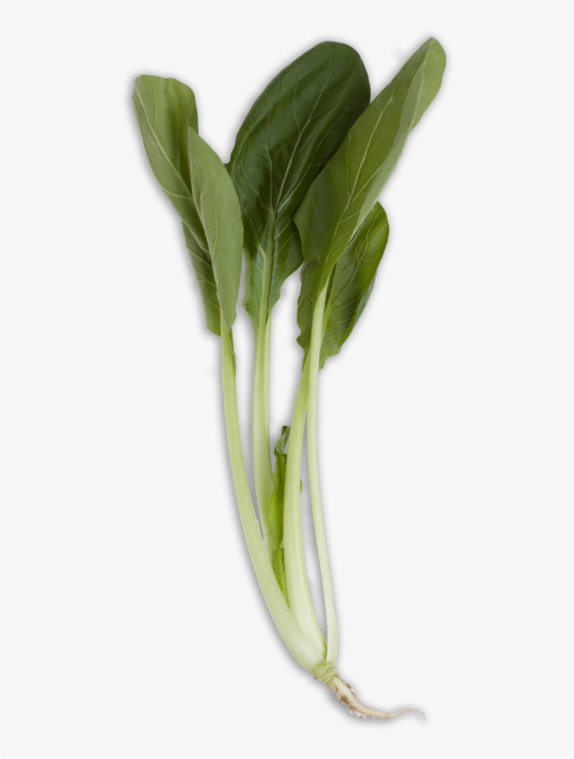 Bok Choy Transparent Png - Vegetable, transparent png download