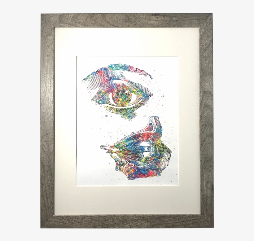 Anatomical Eye Watercolor Canvas - Watercolor Painting, transparent png download