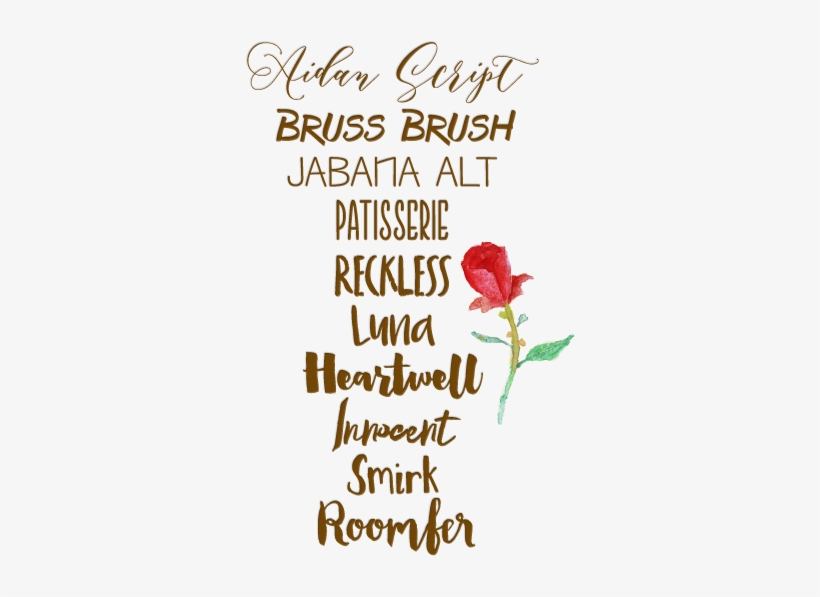 Free High-resolution Watercolor Flowers And Miscellaneous - Momenta Power Brush Replacement Tips 2/pkg-, transparent png download