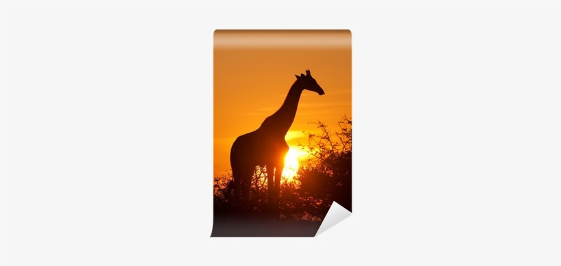 Giraffe Silhouette Sticker (oval), transparent png download