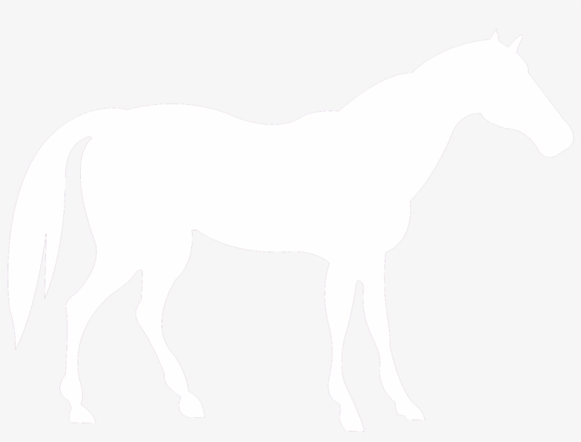 Horse-icon - Horse Clinic, transparent png download