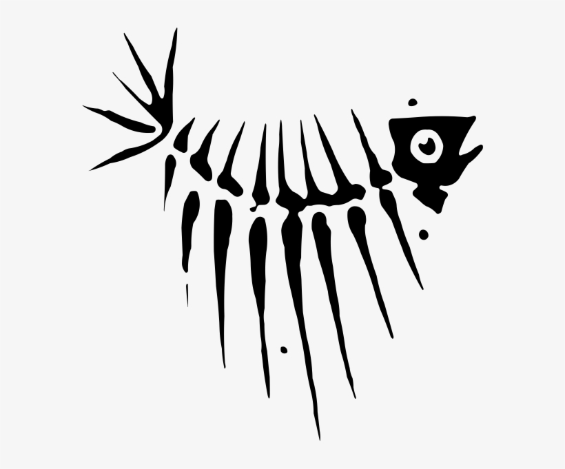 Hotsigns And Decals - Skeleton, transparent png download