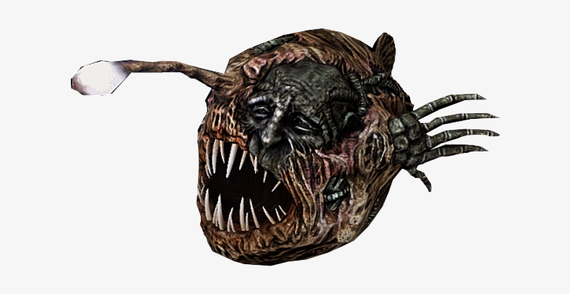 Anglerfish - Angler Fish Png, transparent png download