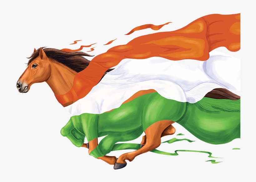 Stallion, transparent png download