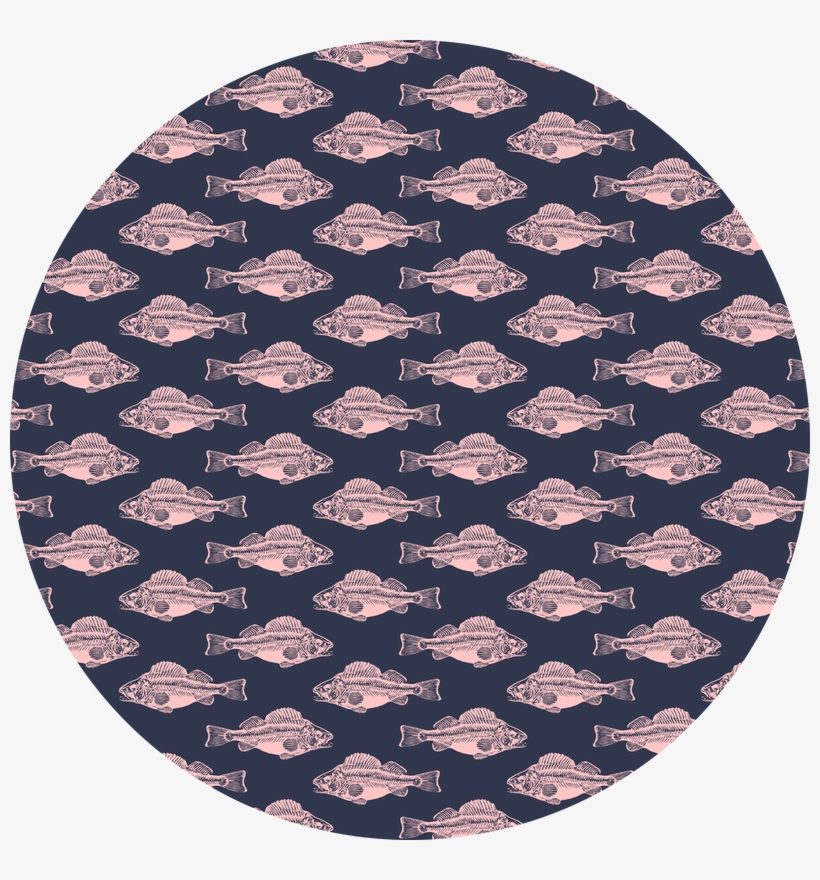 Pink Fish Skeleton - Makeup Revolution London Pro Illuminate, transparent png download