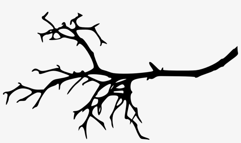 Tree Branch Silhouette Png Download - Tree Branch Silhouette, transparent png download