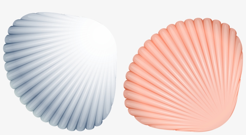 Shells Png Image Gallery - Summer Of Love Acid House, transparent png download