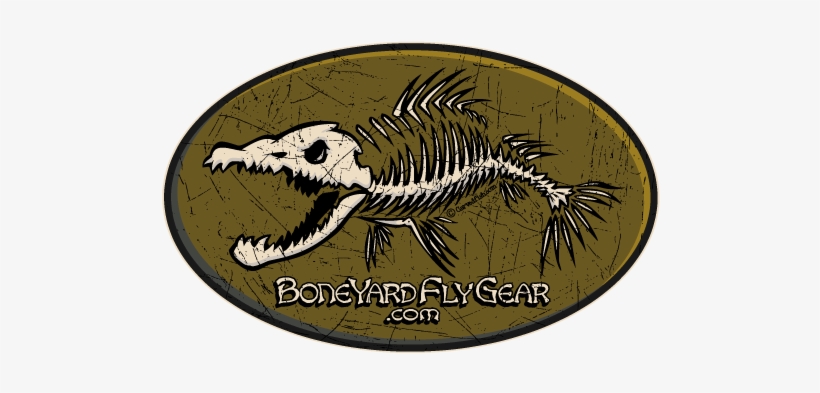 fly fishing retailers