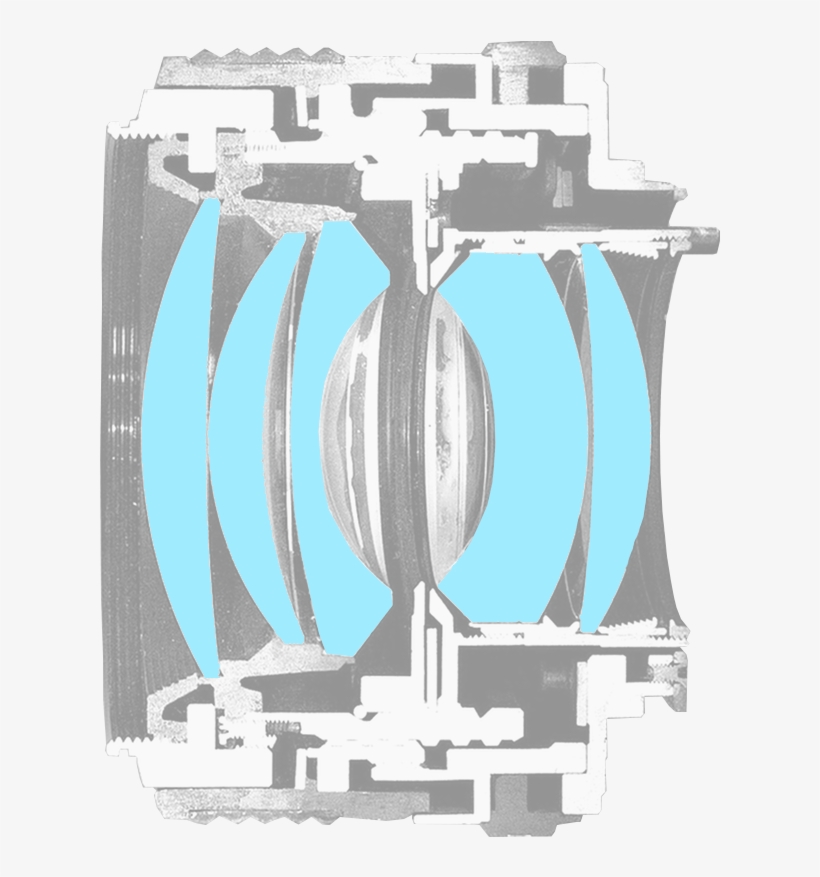 Prime Lens Catout Photo By Janne Moren - Photograph, transparent png download