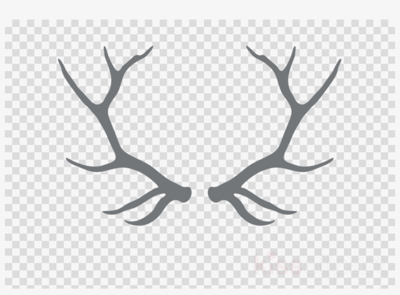 Download White Antler Png Clipart White-tailed Deer - Deer, transparent png download