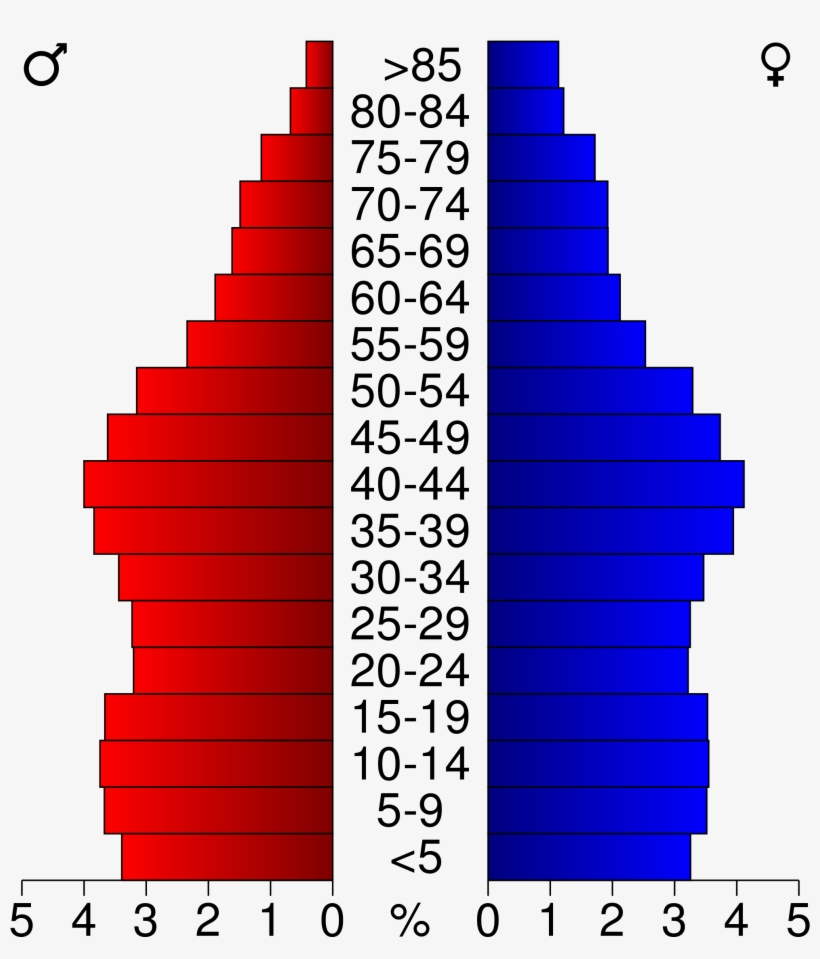 Open - Population Pyramid Of Palm Beach County, transparent png download