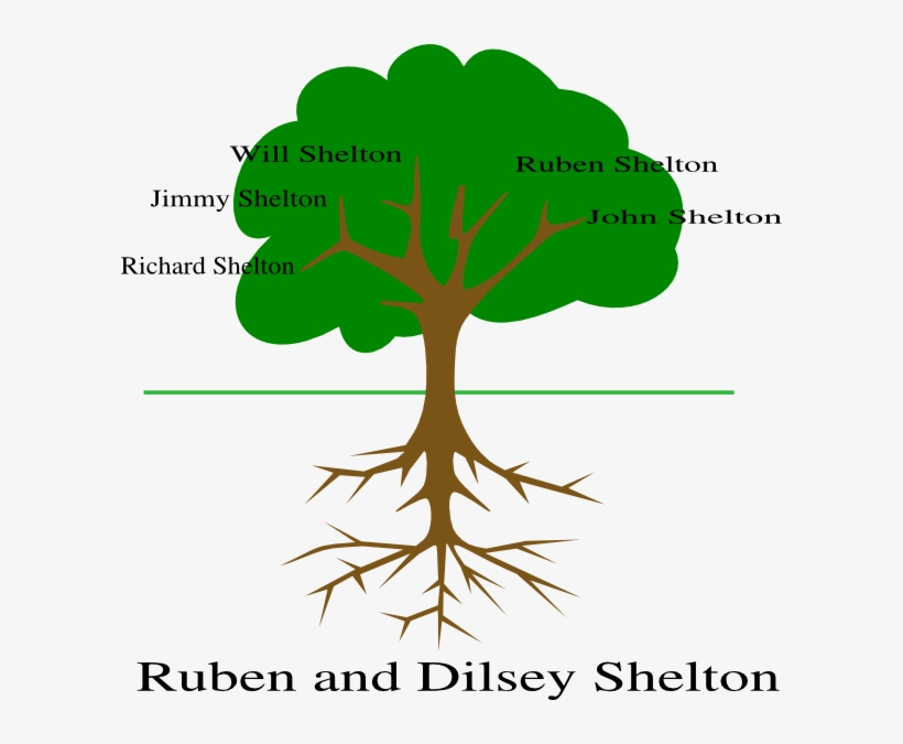 Tree Drawing With Fruits, transparent png download