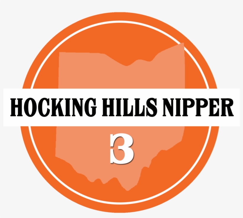 Route 3 - Prototyperaptor Drive Hard, transparent png download