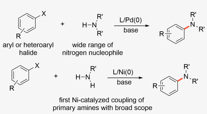 Scheme6 - Aryl Halide Amine Coupling, transparent png download