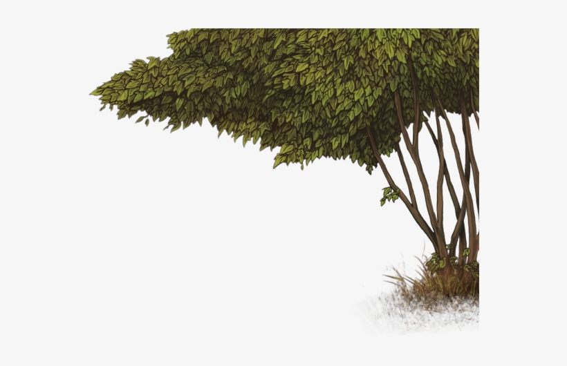 Snowball Bush Png Clipart Black And White Library - American Football, transparent png download