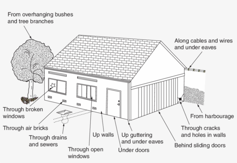 Download - Peaal 3011450 Peavey Guitar Hanger Hd, transparent png download