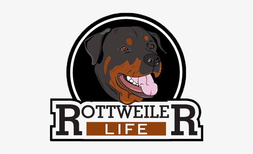 Rottweiler, transparent png download