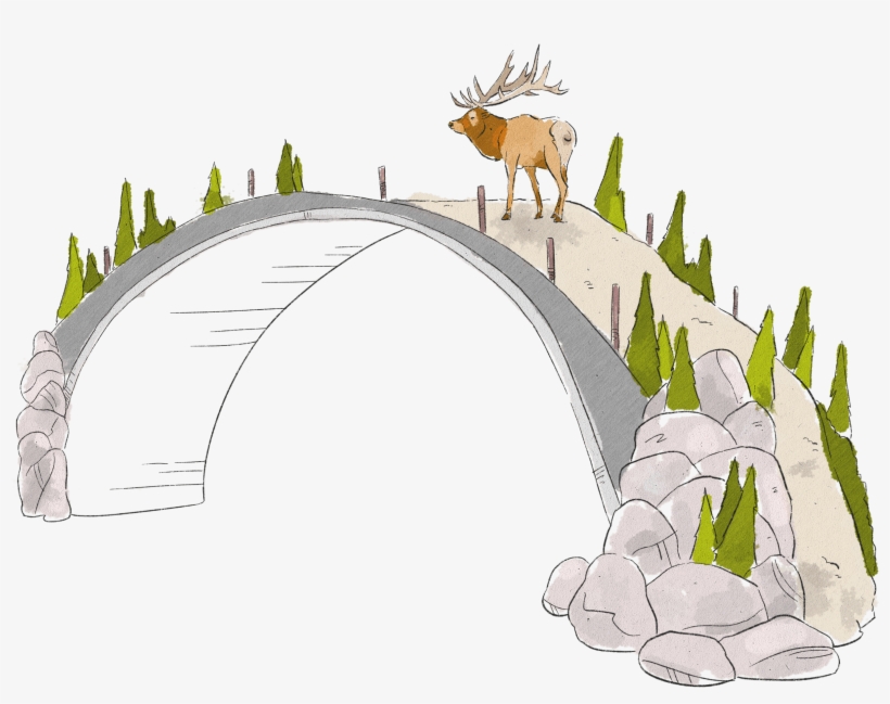 Live - Reindeer, transparent png download