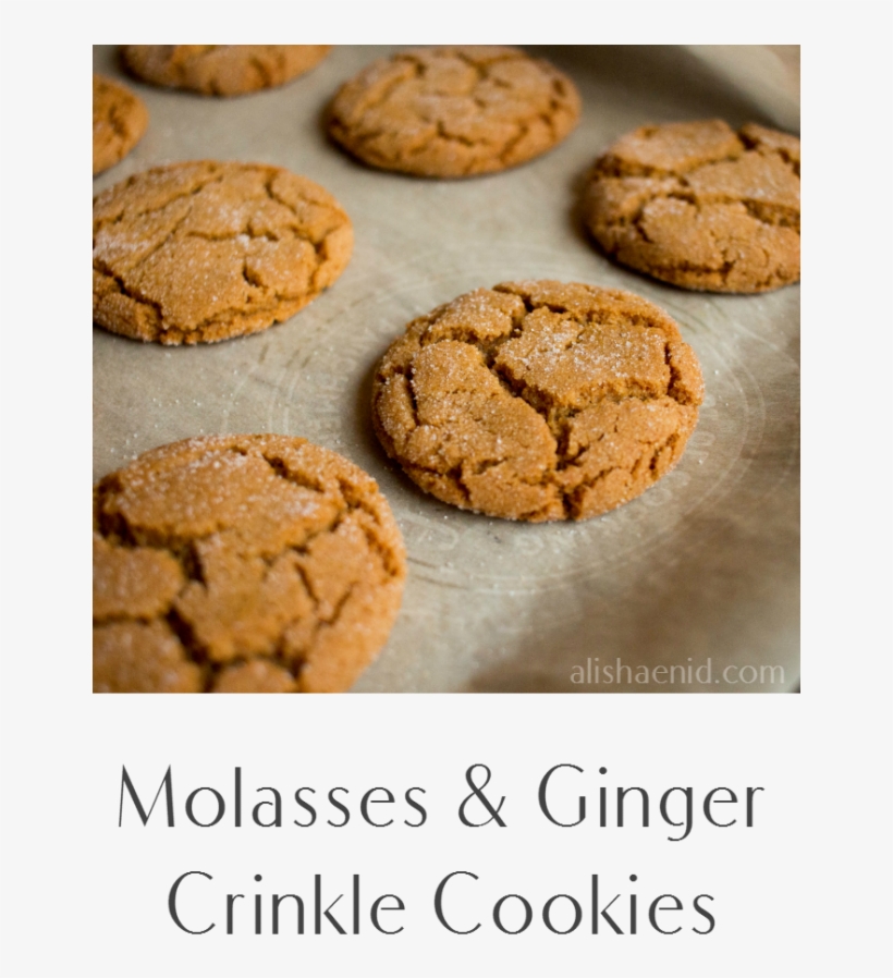 Ginger And Molasses Crinkle Alisha Enid My - Ginger, transparent png download