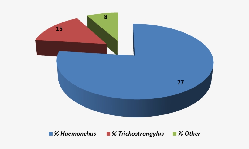 Another Pooled Fecal Sample Was Collected On August - Graphic Design, transparent png download
