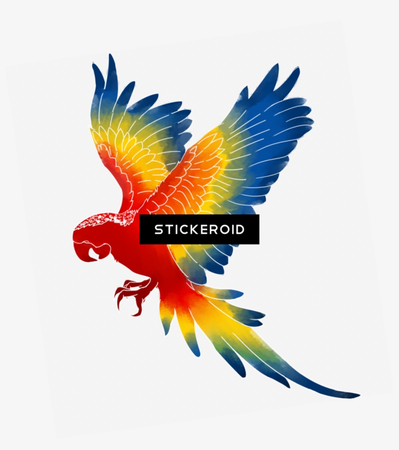 Macaw - Macaw Png, transparent png download