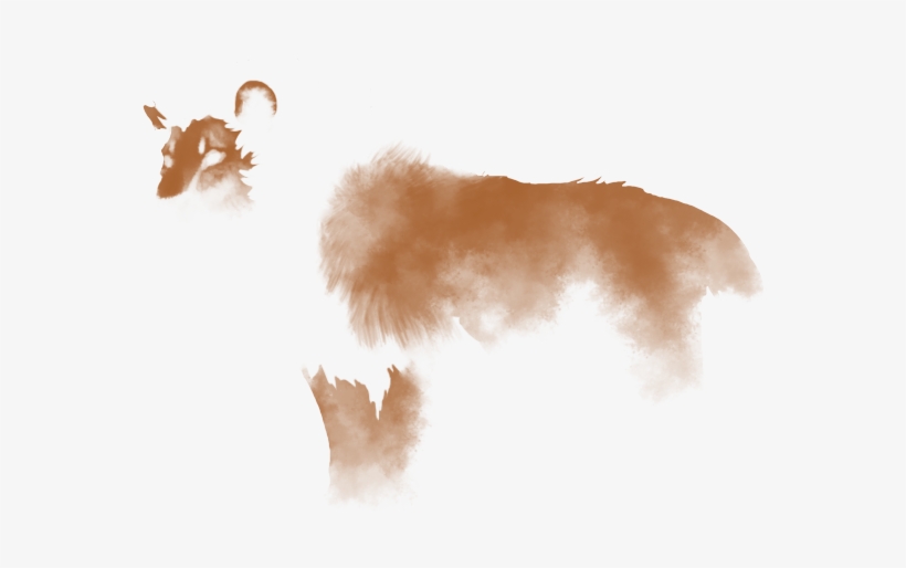 Brown Smoke Transparent Image - Lion, transparent png download